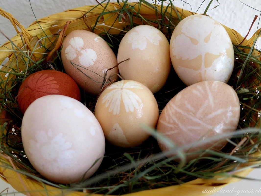 Ostereier selber natürlich färben. Natürliche Eierfarbe. Ostereier. 