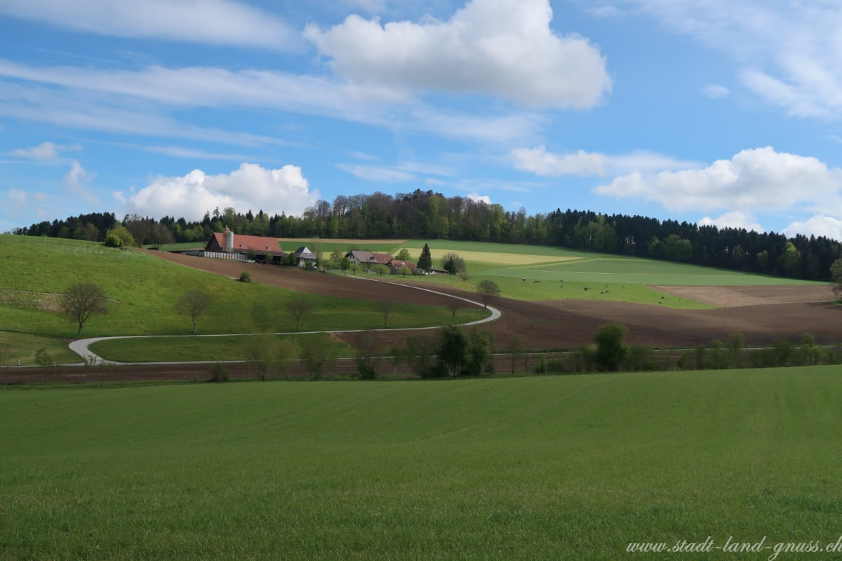 Bauernhof in der Schweiz mit Wiesen, Acker und Kühen. Konsumenten wissen wenig über Landwirtschaft. 