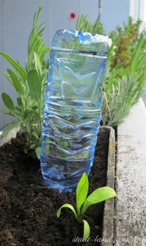 Bewässerung mit PET-Flasche