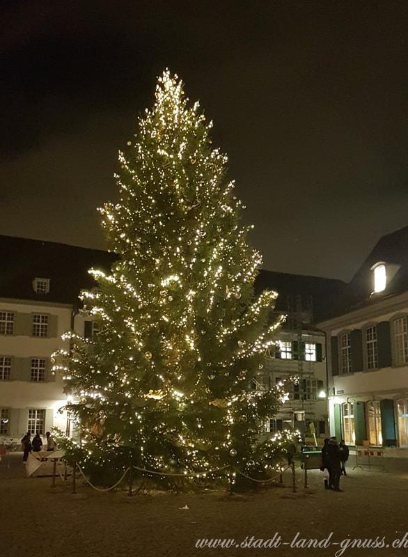 Christbaum nachhaltig. Alternativen für Christbäume. Basel Münsterplatz Weihnachtsbaum