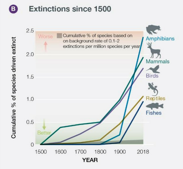 IPBES extinctions since 1500. Artensterben Weltbiodiversitätsrat UNO Bericht 2019