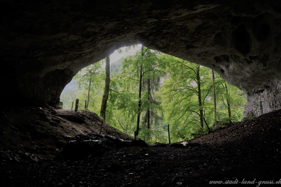Blick aus der Feengrotte in Vallorbe in den Wald hinaus. Ausflugsidee im Schweizer Jura. Wanderung zu Höhlen. Yverdon-lesBains Region. Grottes aux fées.