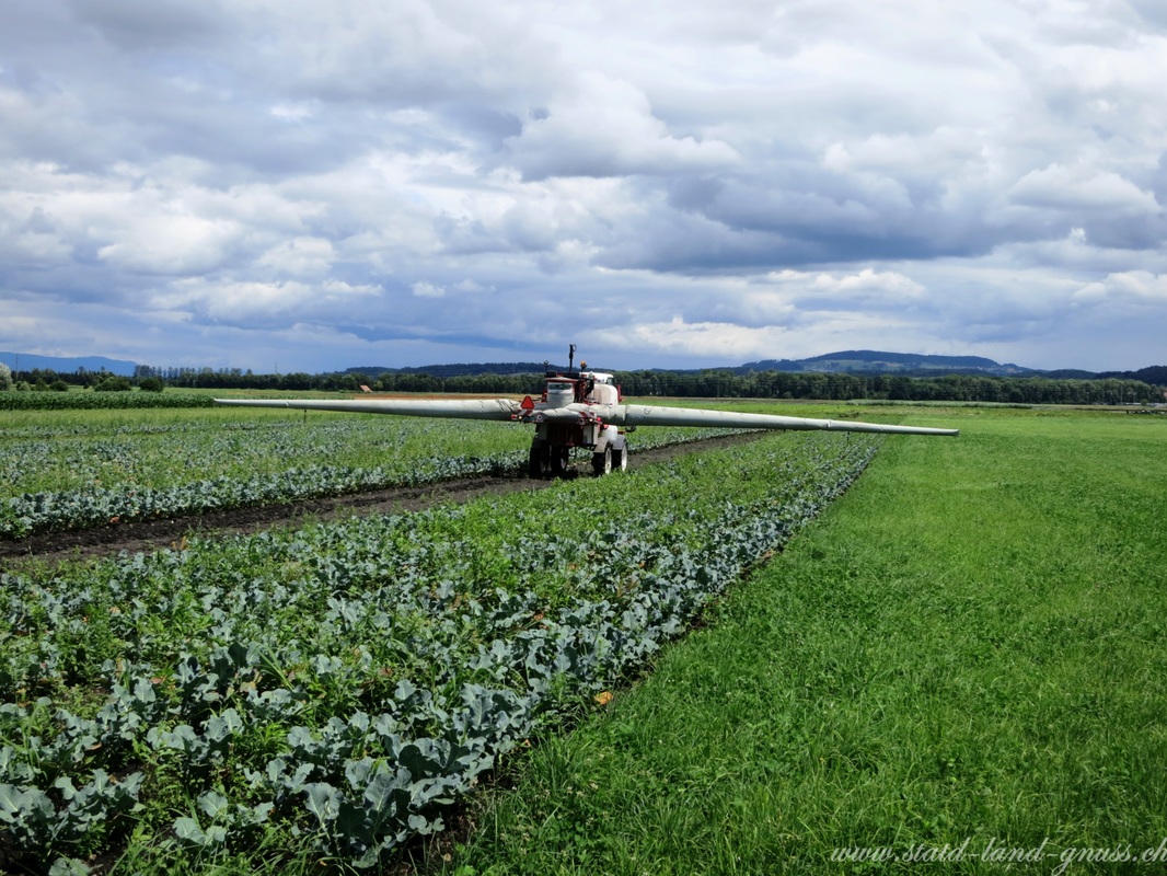 Pestizide Schweizer Landwirtschaft stadt-land-gnuss.ch