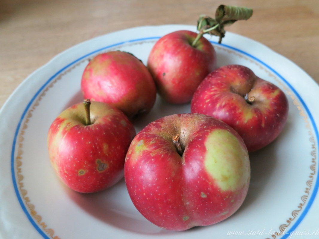 Äpfel stadt-land-gnuss.ch