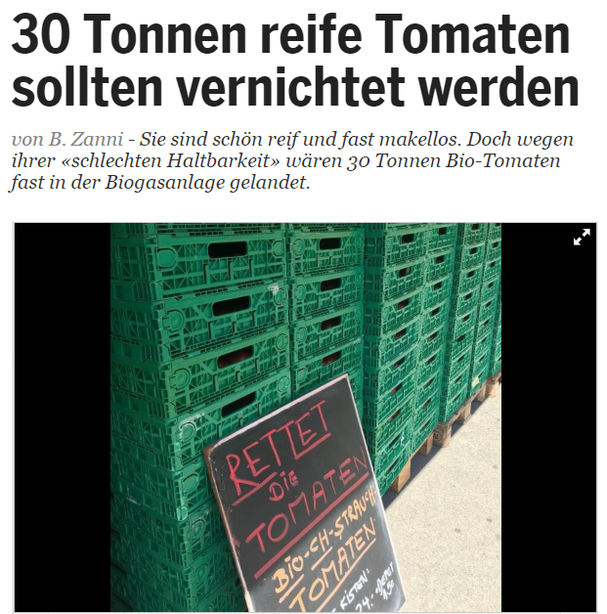 Tomaten Überproduktion Schweiz 2018. Lebensmittelverschwendung, Food Waste, Tomaten vor der Biogasanlage retten. 